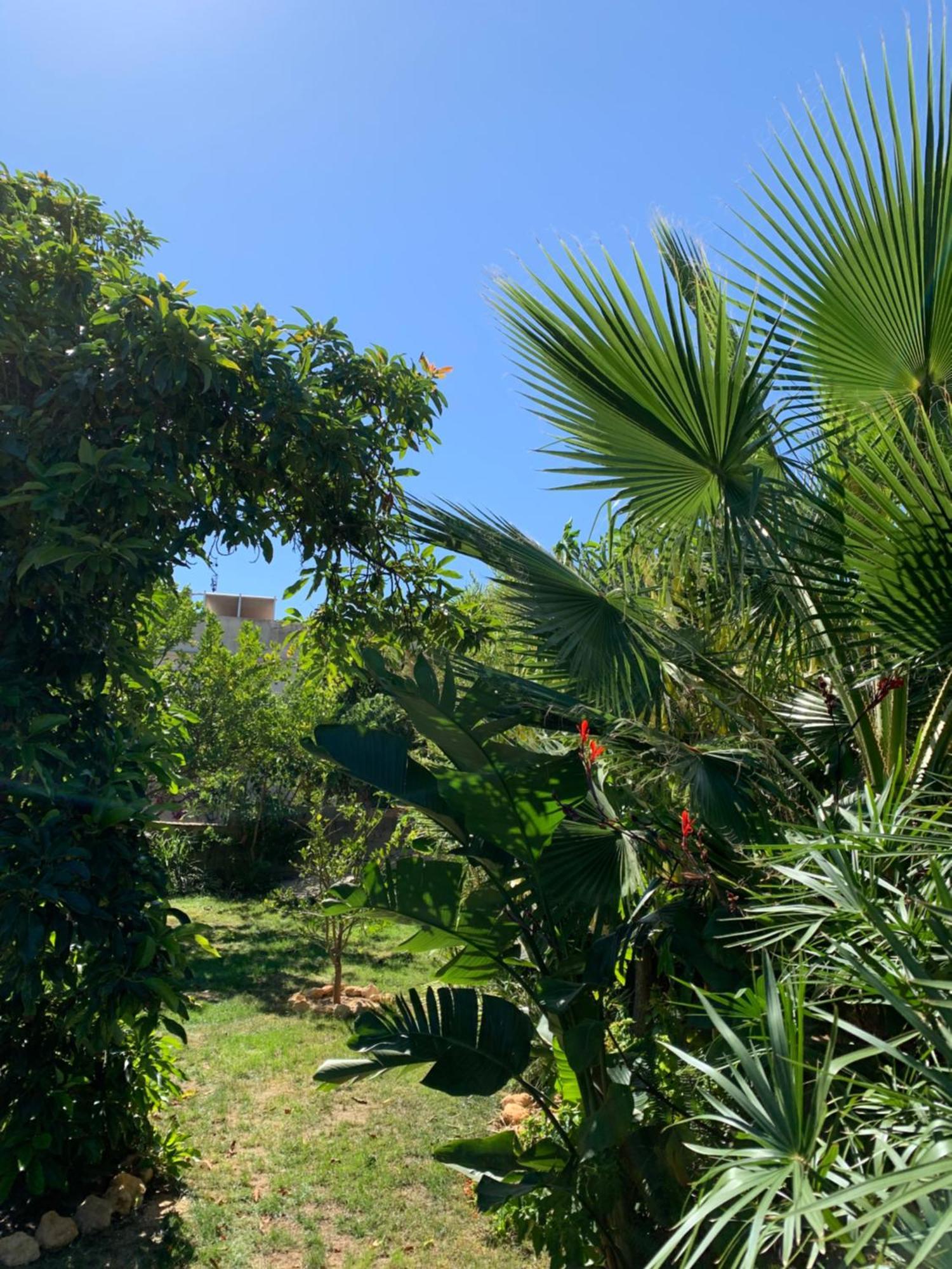 A Tranquil Garden Apartment, Carvoeiro - Benagil Ngoại thất bức ảnh