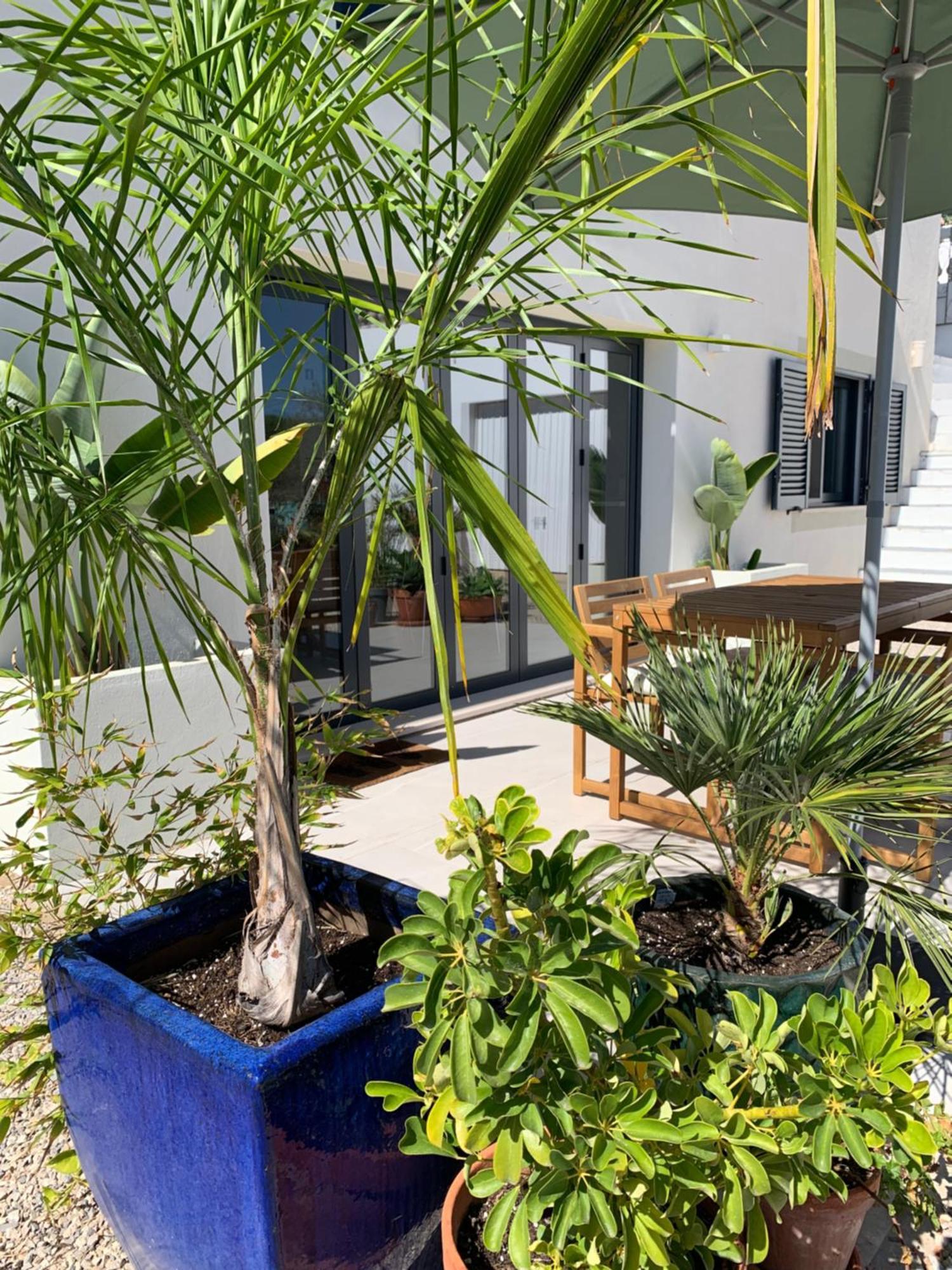 A Tranquil Garden Apartment, Carvoeiro - Benagil Ngoại thất bức ảnh